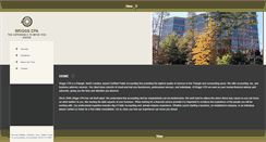 Desktop Screenshot of briggscpa.biz